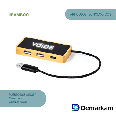 Puerto USB Ginger
